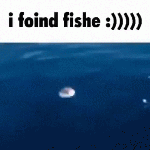 I Foind Fishe Meme GIF - I Foind Fishe Meme GIFs
