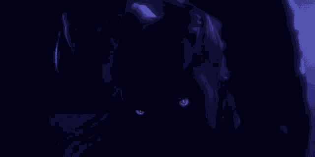 a blurry picture of a person in a dark room with a purple background .