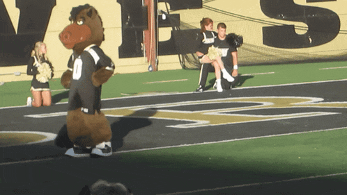 a mascot on a football field with the number 0 on it
