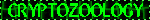 the word cryptology is written in green on a black background