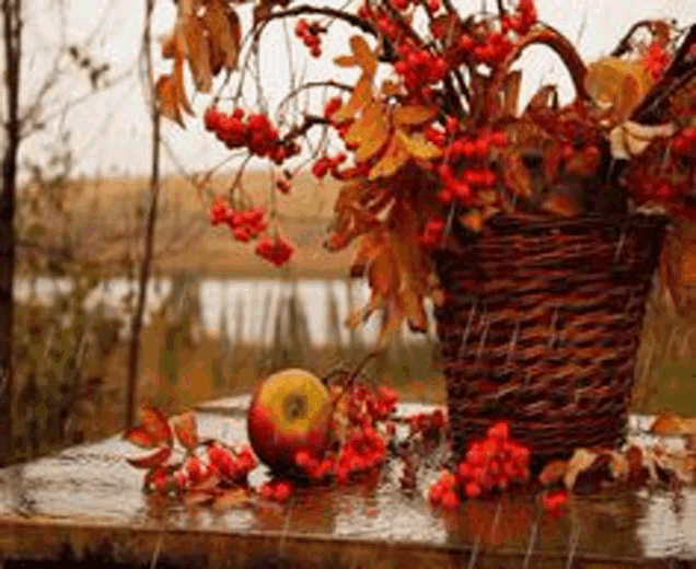 a basket filled with berries and leaves is sitting on a table .