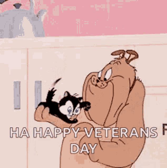 Happy Veterans Day Dog Hugging Cat GIF - Happy Veterans Day Dog Hugging Cat GIFs