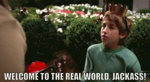 Welcome To The Real World, Jackass! GIF - Welcome Real World Jackass GIFs
