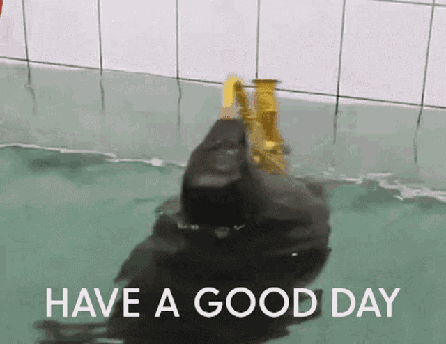 a duck in a bathtub with the words have a good day
