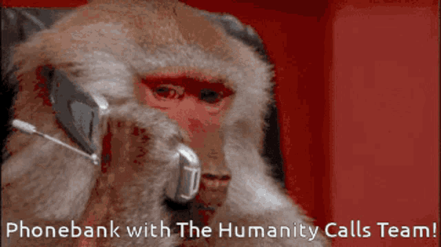 Phonebank Humanity Calls GIF - Phonebank Humanity Calls Yang Gang GIFs