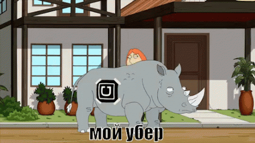 носорог  животные такси убер GIF - Rhino Animal Uber GIFs