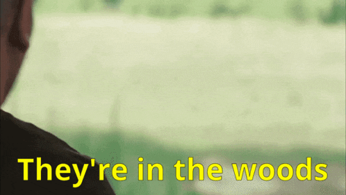 a blurred image of a man with the words they 're in the woods written in yellow