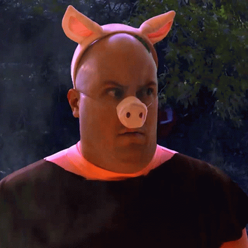 Anxious Pig GIF - Anxious Pig Nate Morse GIFs
