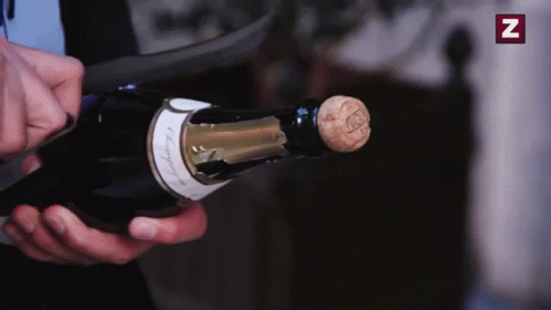 Poppin Bottles In Da Club GIF - Champagne Drinks GIFs