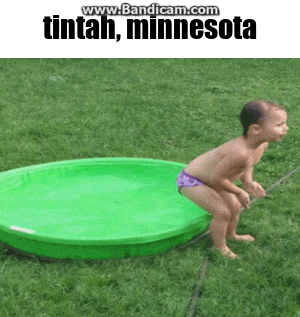 Tintah Minnesota GIF - Tintah Minnesota Pool GIFs