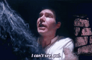 a man in a white shirt says i can 't see pal .