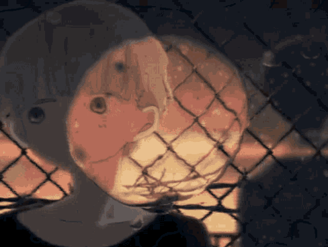 a drawing of a person behind a chain link fence with a reflection of their face
