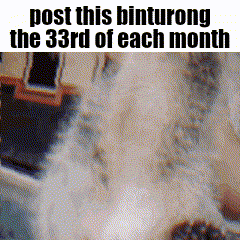 a close up of a person 's face with the words `` post this binturong the 33rd of each month ''