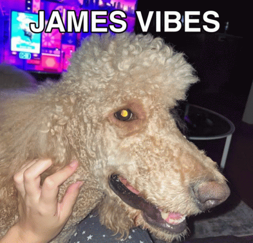 James Happy Birthday James GIF - James Happy Birthday James GIFs
