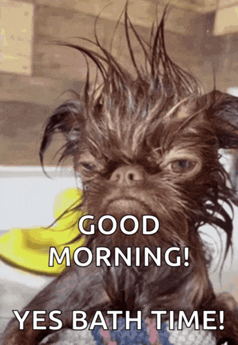 a picture of a wet dog with the words good morning yes bath time
