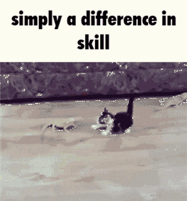 Skill Skill Issue GIF - Skill Skill Issue Simply A Difference In Skill GIFs