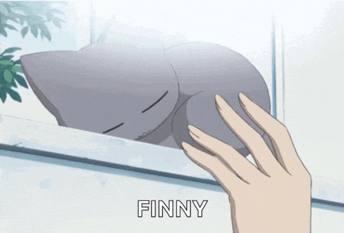 a person holding a stuffed shark that says finny on it