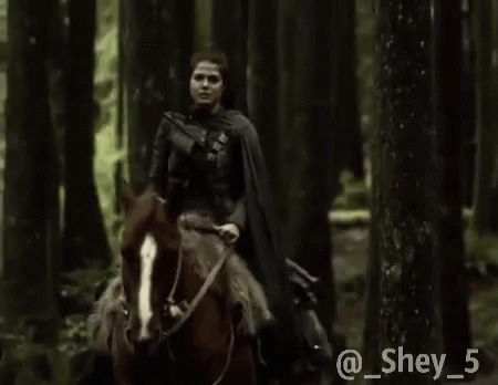 The100 Horse GIF - The100 Horse GIFs