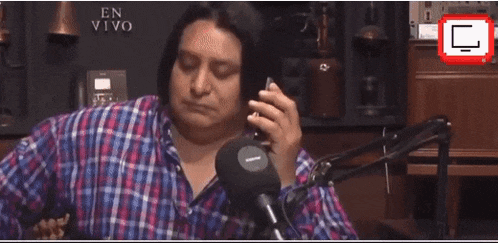 a woman is sitting in front of a microphone talking on a cell phone .