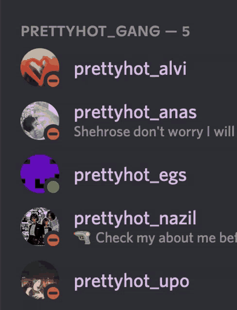 a screenshot of prettyhot_gang - 5 on a discord