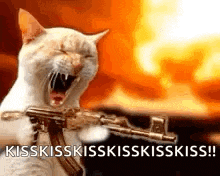 a cat is holding a gun in front of a fire and screaming .