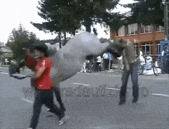 a man in a red shirt is walking down a street with a horse