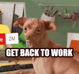 a picture of a dog with the words " get back to work " on it