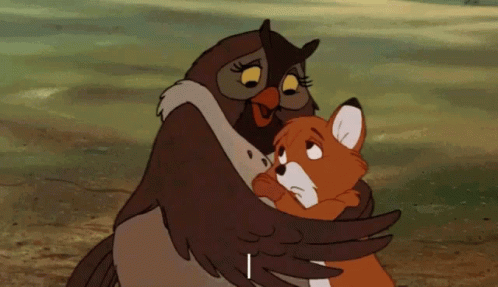 Owl Hug GIF - Owl Hug Fox GIFs