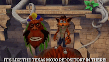 crash bandicoot is standing next to a gorilla in a video game with the caption it 's like the texas mojo repository