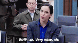 Why Wise GIF - Why Wise Sir GIFs