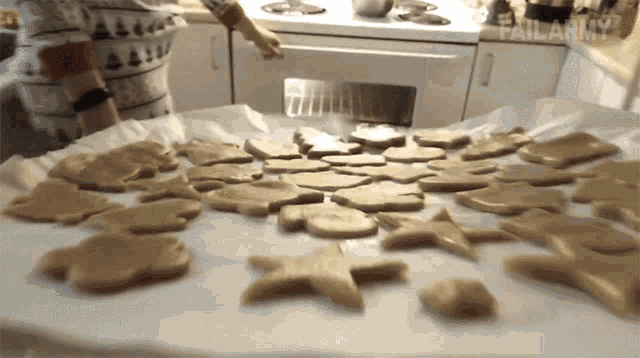 Wasted Cookies Failarmy GIF