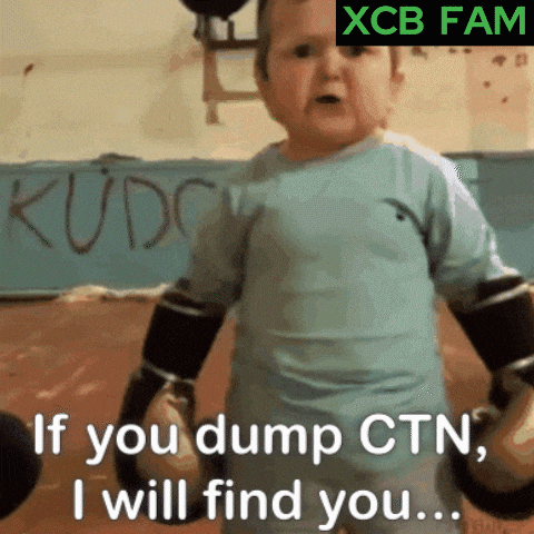 Ctn Dump Ctn Crypto GIF - Ctn Dump Ctn Crypto Ctn Meme GIFs