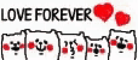 a group of cats are standing next to each other with hearts on their faces and the words `` love forever '' .