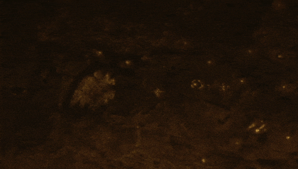 a dark brown background with a few white spots