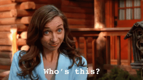 Do I Know You? GIF - Lauren Lapkus Whos This Who Is This GIFs