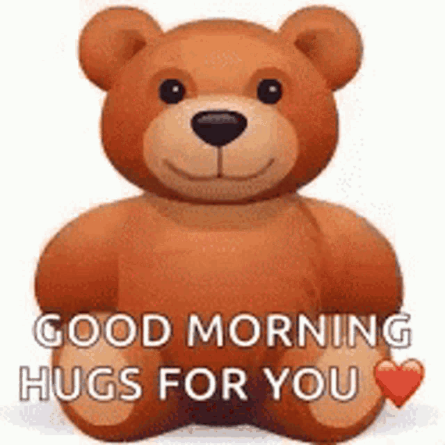 a brown teddy bear is sitting down and says `` good morning hugs for you '' .