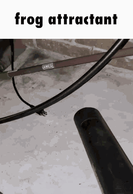 a picture of a frog attractant with a black pipe