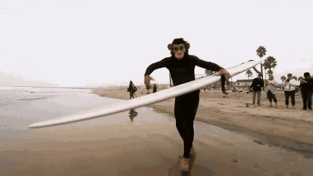 Surfing Monkey GIF - Surfing Monkey Monkey Dance GIFs