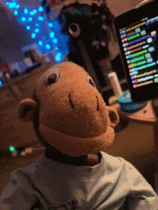 a stuffed monkey in front of a computer monitor
