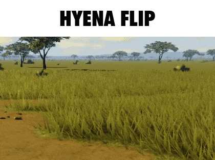 a picture of a field with the words hyena flip on the top