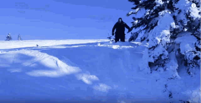 a person standing in a snowy field with a blue sky behind them
