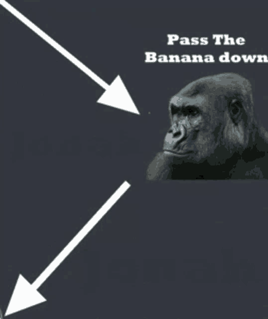 a picture of a gorilla with arrows pointing to it and the words pass the banana down below it