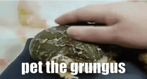 Grungus Grungus Discord GIF - Grungus Grungus Discord Frog GIFs