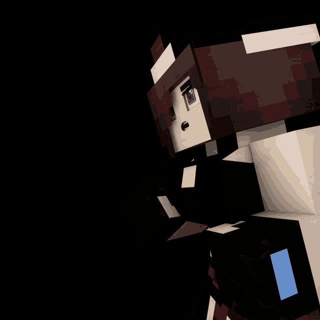 a 3d rendering of a minecraft character with a brown haired girl