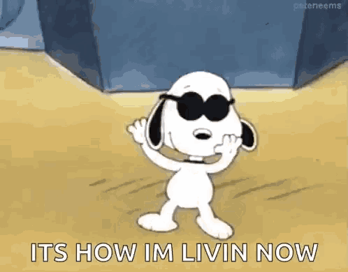 snoopy is wearing sunglasses and waving at the camera while dancing .