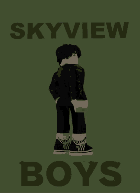 a poster for skyview boys shows a boy in a leather jacket