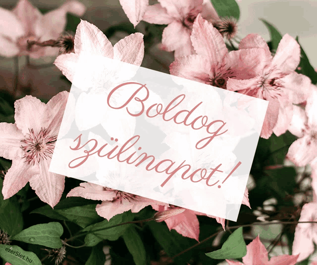 a bouquet of pink flowers with a card that says boldog szullinapot
