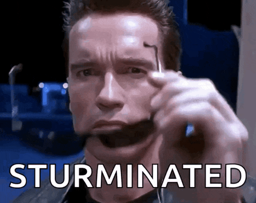 arnold schwarzenegger is shown with the word sturminated written on his face