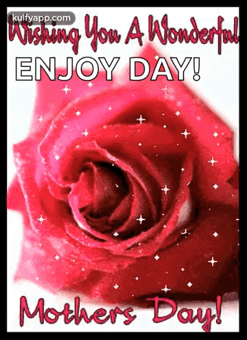 a red rose with the words `` wishing you a wonderful enjoy day ! '' on it .