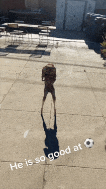a dog standing on a sidewalk with the words he is so good at